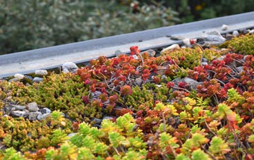the cost of West Whitefield green roof installation