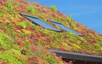 West Whitefield living roof systems